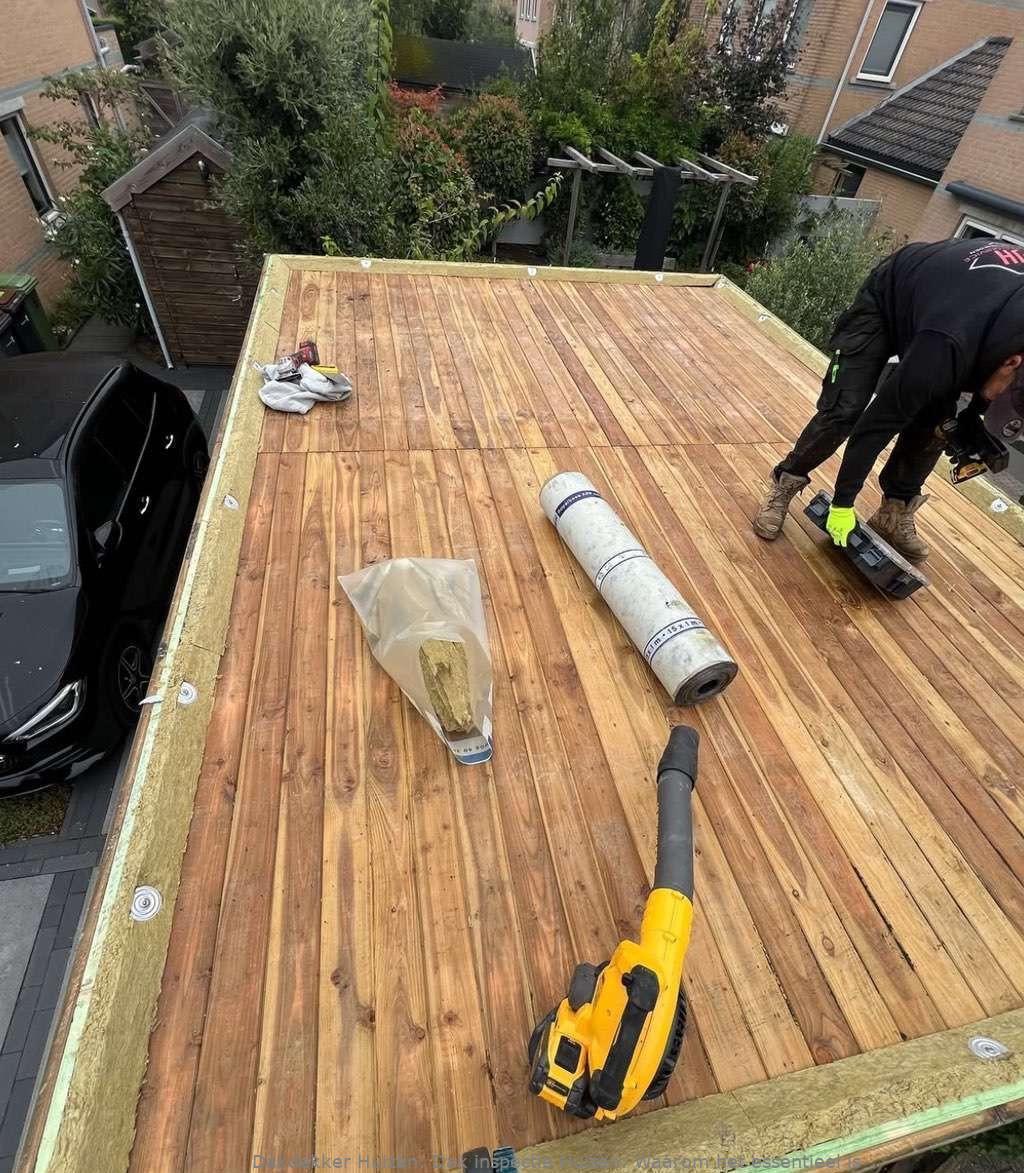 Dak Inspectie Huizen