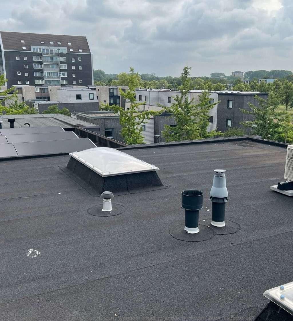 Dak Laten Inspecteren Huizen