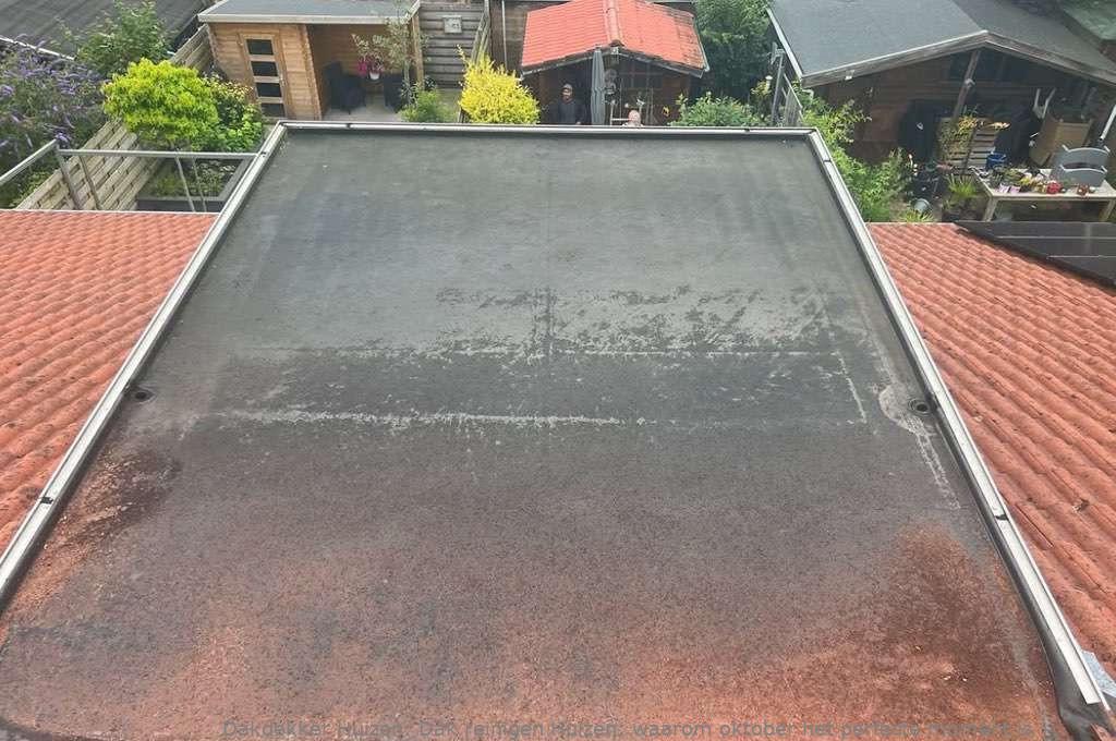 Dak Reinigen Huizen